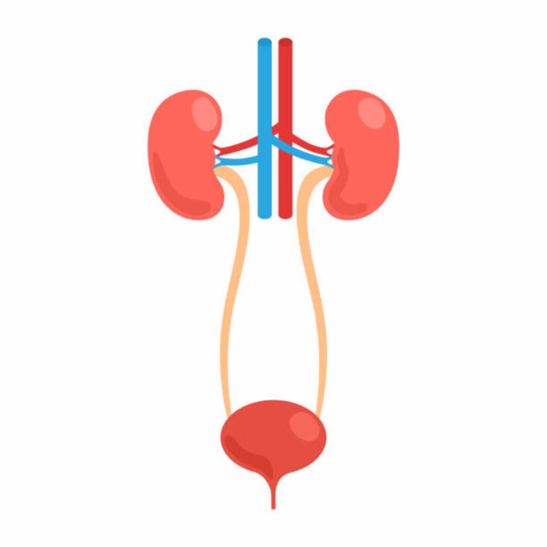 Urologist in Shahibaug
